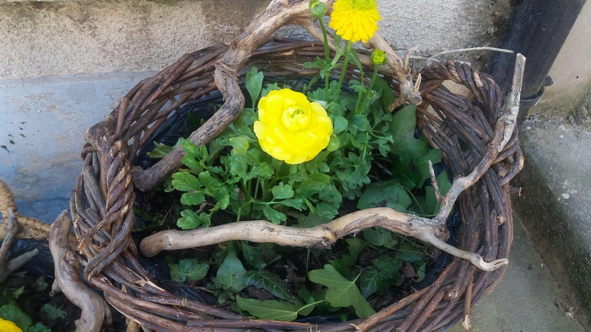 Golden Lion Bed and Breakfast Bouillon Exteriör bild